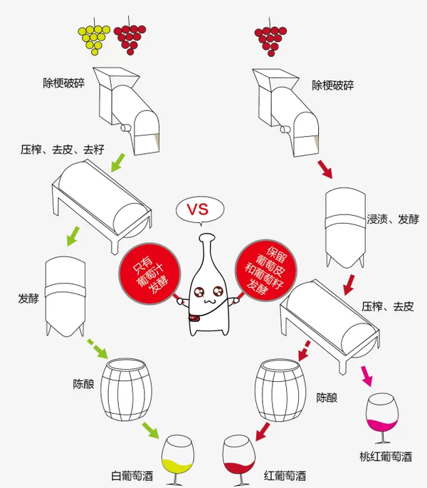 葡萄酒的釀造過程